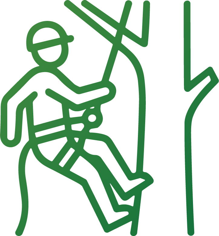 efficient service icon showing tree expert in harness and safety equipment on tree