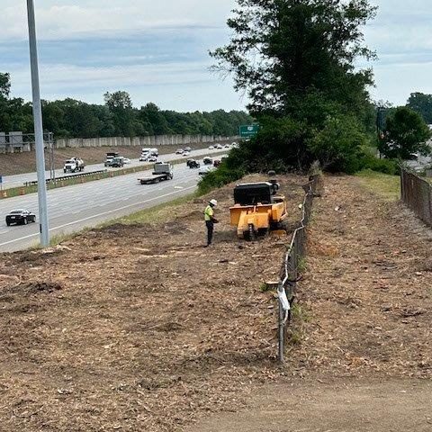 municipal tree services