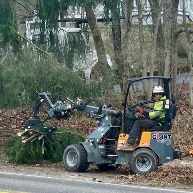 clearing branches and brush as part of a commercial project