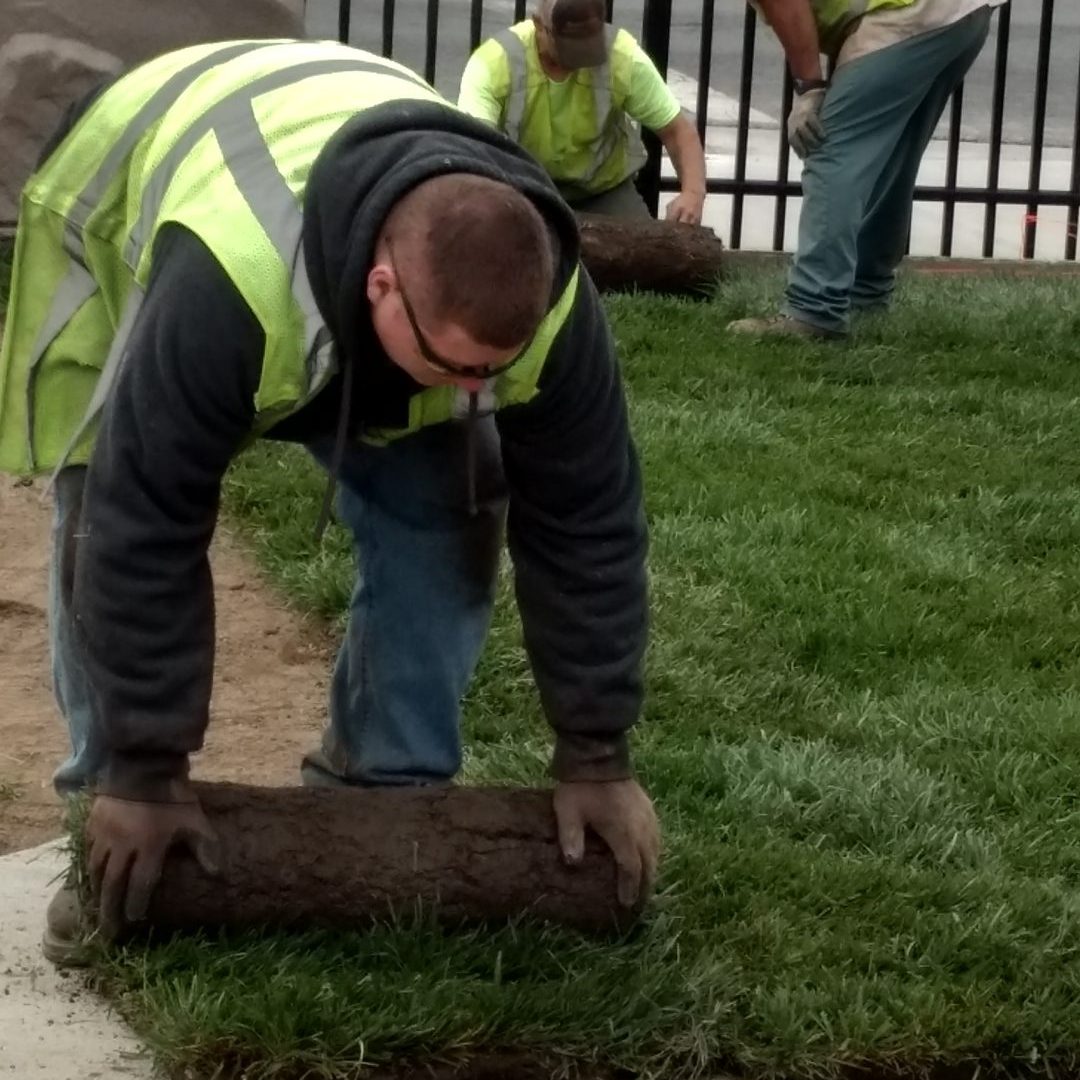 Oberlanders landscape expert installing sod